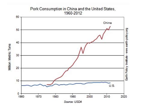 china hog consumption